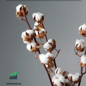 Revitalize Pakistan’s White Gold:A Strategy for Cotton Resurgence