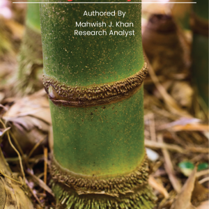 Sugarcane in Pakistan Challenges & Policy Reforms