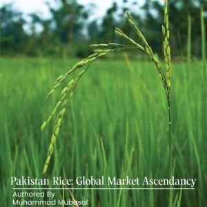 Pakistan Rice Global Market Ascendancy