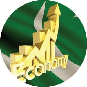 Pakistan Economic Survey 2024–25: Stability or Surface-Level Success?